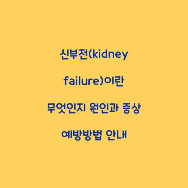 신부전(kidney failure)이란 무엇인지 원인과 증상 예방방법 안내