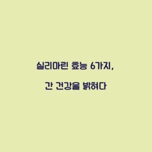 실리마린 효능 6가지, 간 건강을 밝혀다