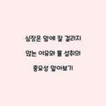 심장은 암에 잘 걸리지 않는 이유와 물 섭취의 중요성 알아보기
