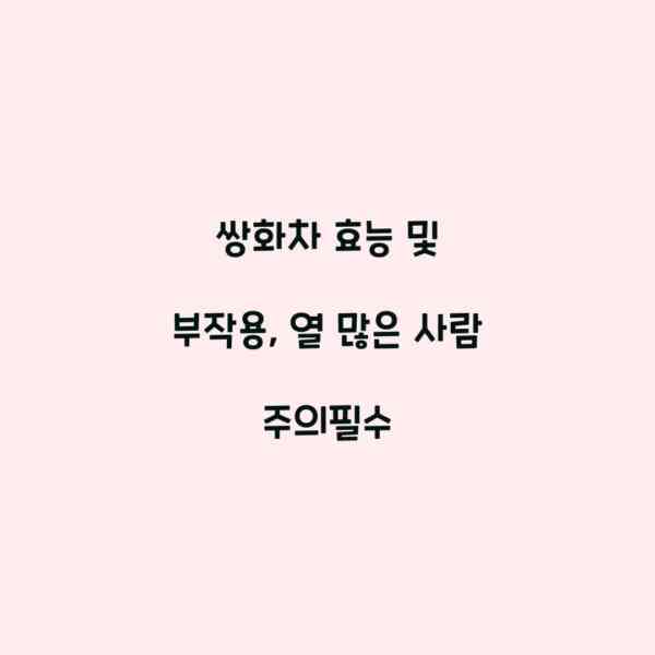 쌍화차 효능 및 부작용, 열 많은 사람 주의필수