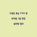 아몬드 효능 7가지 및 부작용, 1일 권장 섭취량 정리