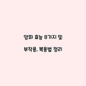양파 효능 8가지 및 부작용, 복용법 정리