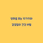 양파즙 효능 10가지와 겉껍질의 건강 비밀