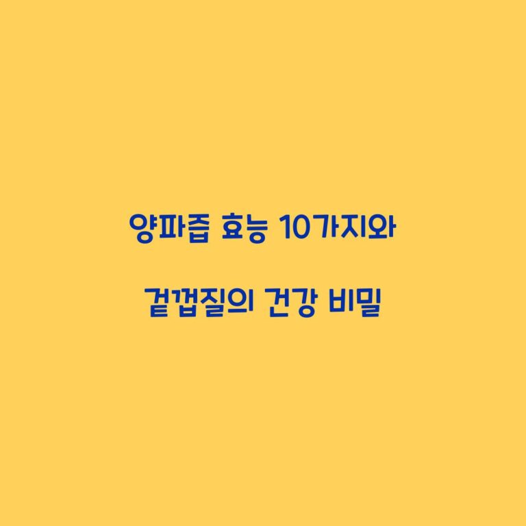 양파즙 효능 10가지와 겉껍질의 건강 비밀