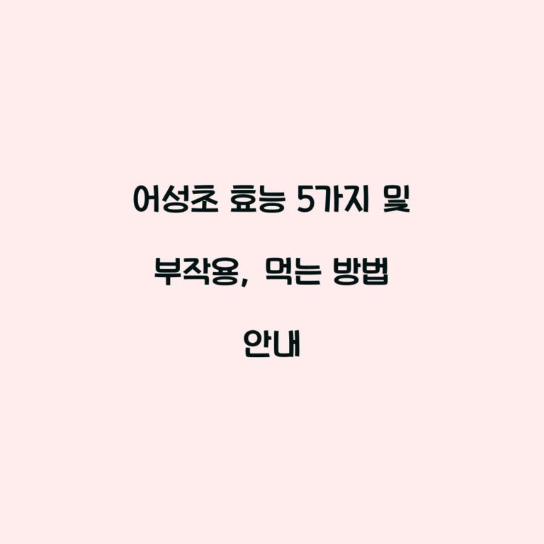 어성초 효능 5가지 및 부작용, 먹는 방법 안내