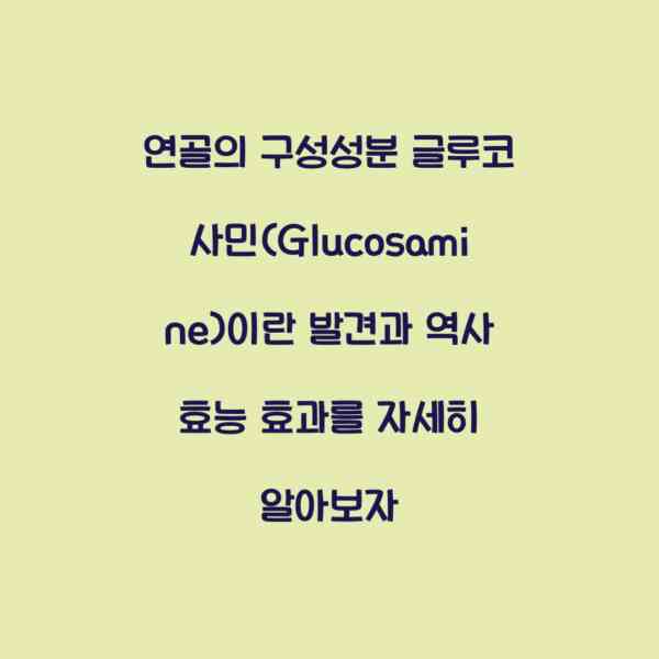 연골의 구성성분 글루코사민(Glucosamine)이란 발견과 역사 효능 효과를 자세히 알아보자