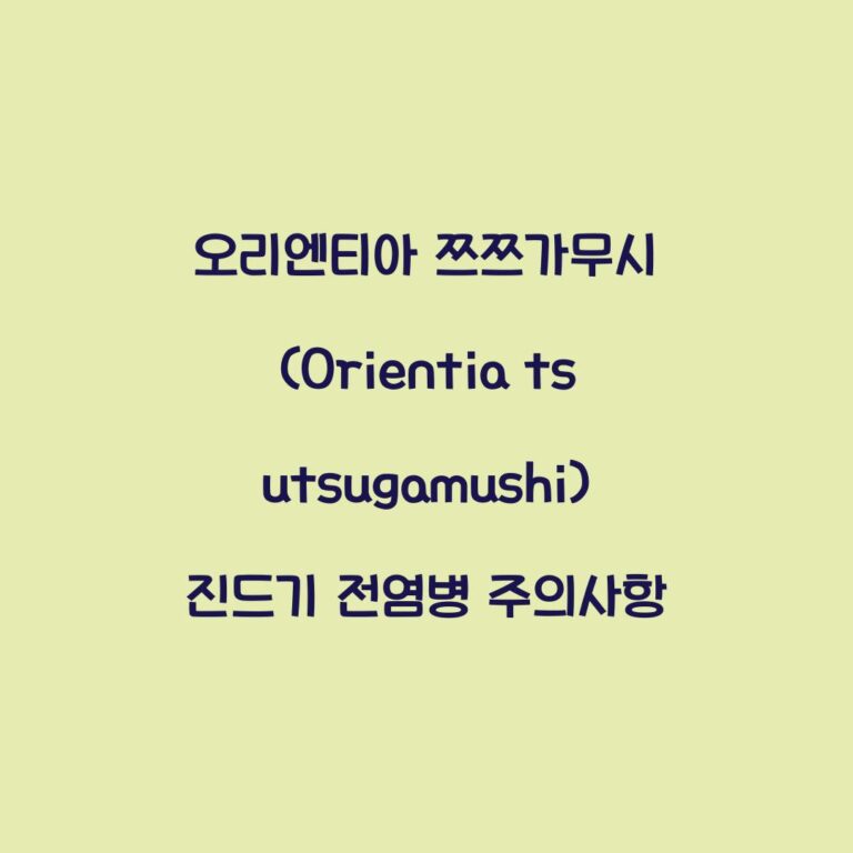 오리엔티아 쯔쯔가무시 (Orientia tsutsugamushi) 진드기 전염병 주의사항