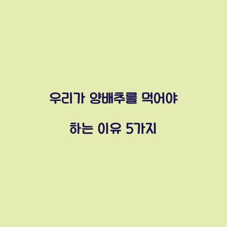 우리가 양배추를 먹어야 하는 이유 5가지
