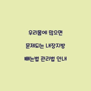 우리몸에 많으면 문제되는 내장지방 빼는법 관리법 안내
