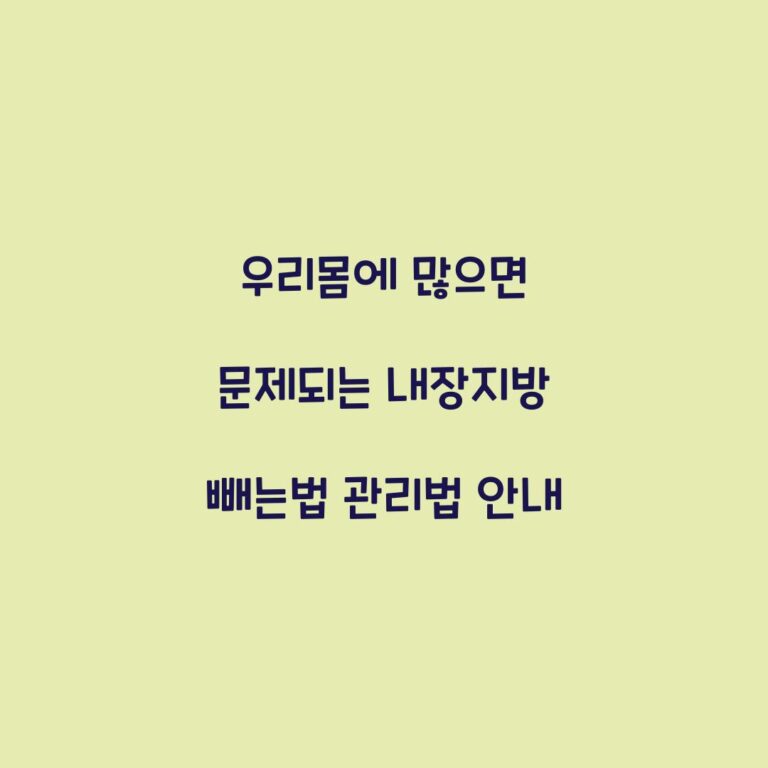 우리몸에 많으면 문제되는 내장지방 빼는법 관리법 안내