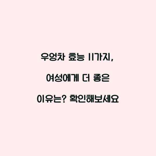 우엉차 효능 11가지, 여성에게 더 좋은 이유는? 확인해보세요