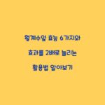 월계수잎 효능 6가지와 효과를 2배로 늘리는 활용법 알아보기
