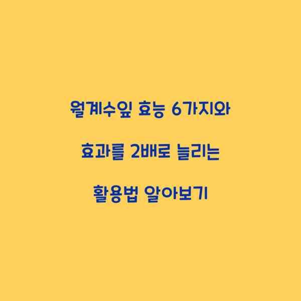 월계수잎 효능 6가지와 효과를 2배로 늘리는 활용법 알아보기