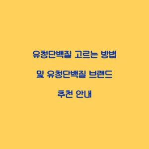 유청단백질 고르는 방법 및 유청단백질 브랜드 추천 안내