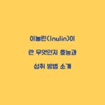 이눌린(Inulin)이란 무엇인지 효능과 섭취 방법 소개