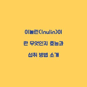 이눌린(Inulin)이란 무엇인지 효능과 섭취 방법 소개
