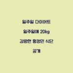 일주일 다이어트 일주일에 20kg 감량한 황정민 식단 공개
