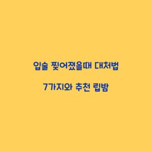 입술 찢어졌을때 대처법 7가지와 추천 립밤
