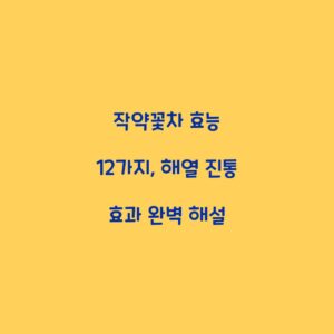 작약꽃차 효능 12가지, 해열 진통 효과 완벽 해설