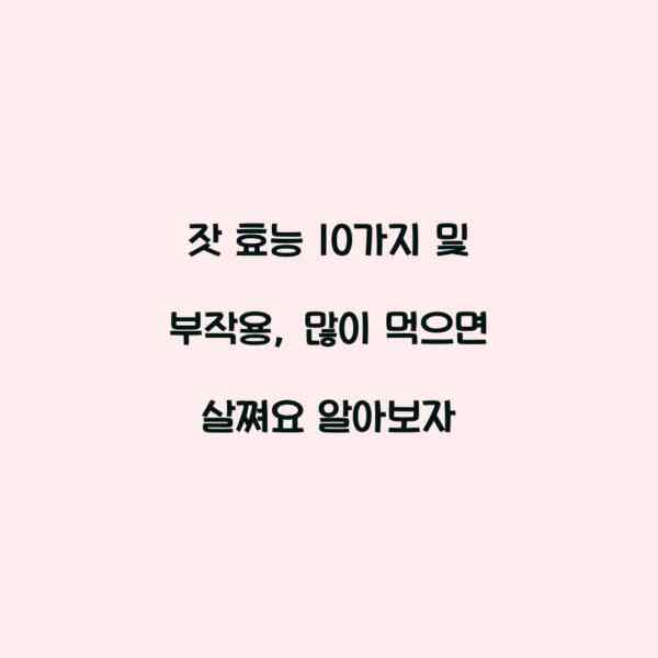 잣 효능 10가지 및 부작용, 많이 먹으면 살쪄요 알아보자