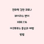 전파력 강한 코로나 바이러스 변이 XBB.1.16 아크투루스 증상과 예방 방법