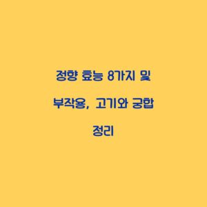 정향 효능 8가지 및 부작용, 고기와 궁합 정리