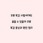 조류 독감 사람에게도 옮을 수 있을까 조류 독감 증상과 원인 정리