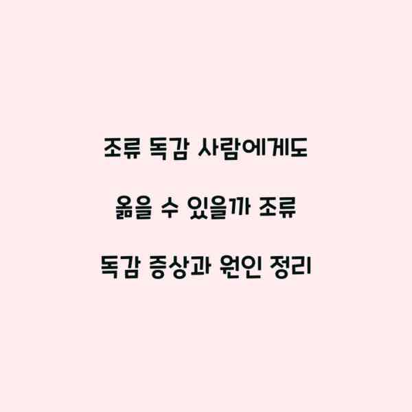 조류 독감 사람에게도 옮을 수 있을까 조류 독감 증상과 원인 정리