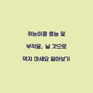 쥐눈이콩 효능 및 부작용, 날 것으로 먹지 마세요 알아보기