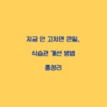 지금 안 고치면 큰일, 식습관 개선 방법 총정리
