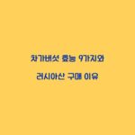 차가버섯 효능 9가지와 러시아산 구매 이유