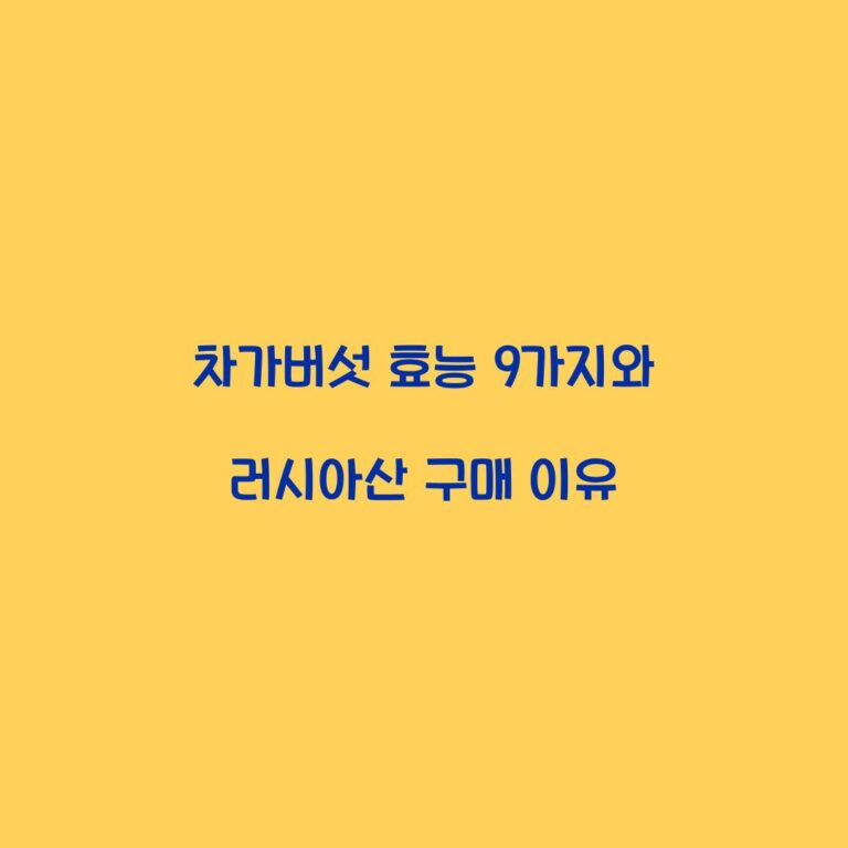 차가버섯 효능 9가지와 러시아산 구매 이유