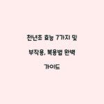 천년초 효능 7가지 및 부작용, 복용법 완벽 가이드