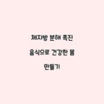 체지방 분해 촉진 음식으로 건강한 몸 만들기