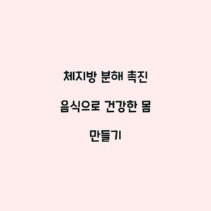 체지방 분해 촉진 음식으로 건강한 몸 만들기