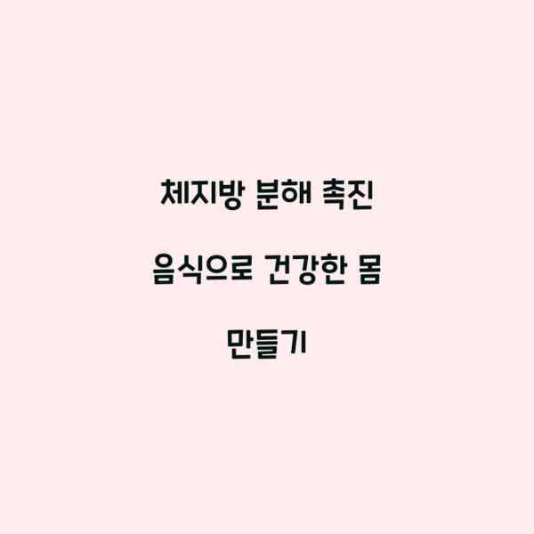 체지방 분해 촉진 음식으로 건강한 몸 만들기