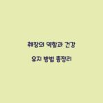 췌장의 역할과 건강 유지 방법 총정리