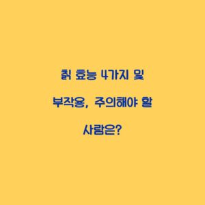 칡 효능 4가지 및 부작용, 주의해야 할 사람은?