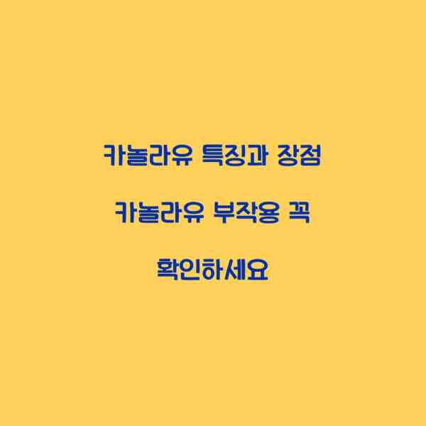 카놀라유 특징과 장점 카놀라유 부작용 꼭 확인하세요