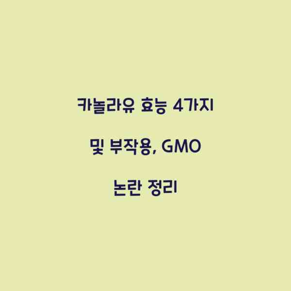 카놀라유 효능 4가지 및 부작용, GMO 논란 정리