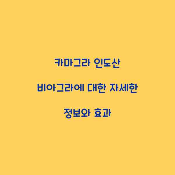 카마그라 인도산 비아그라에 대한 자세한 정보와 효과