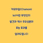 카모마일(Chamomile)이란 무엇인지 발견과 역사 주요성분의 효능 효과를 알려드립니다