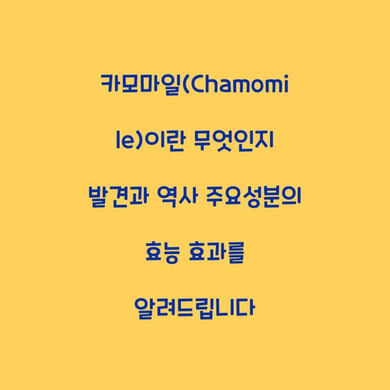 카모마일(Chamomile)이란 무엇인지 발견과 역사 주요성분의 효능 효과를 알려드립니다