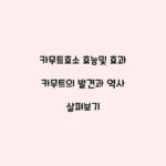 카무트효소 효능및 효과 카무트의 발견과 역사 살펴보기