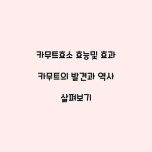카무트효소 효능및 효과 카무트의 발견과 역사 살펴보기
