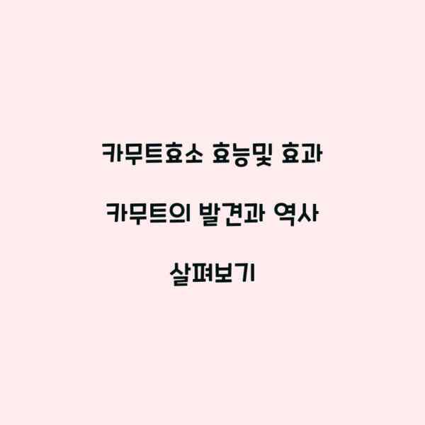 카무트효소 효능및 효과 카무트의 발견과 역사 살펴보기