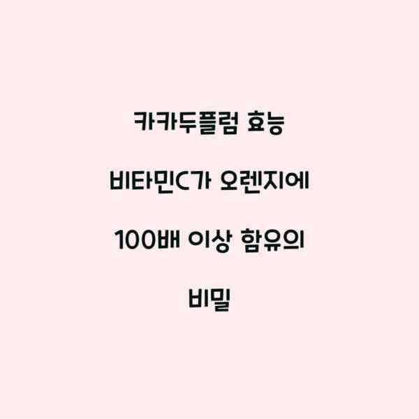 카카두플럼 효능 비타민C가 오렌지에 100배 이상 함유의 비밀