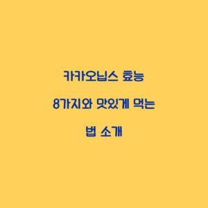 카카오닙스 효능 8가지와 맛있게 먹는 법 소개