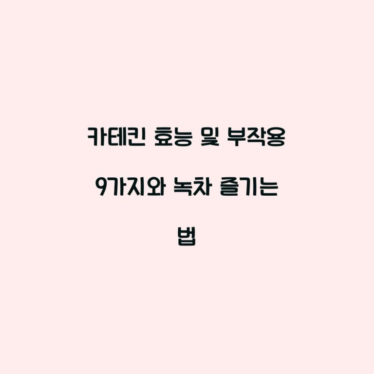 카테킨 효능 및 부작용 9가지와 녹차 즐기는 법