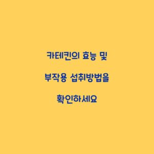 카테킨의 효능 및 부작용 섭취방법을 확인하세요